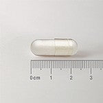 Acetyl L-Carnitine 500mg