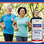 L-Carnitine 500mg