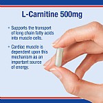 L-Carnitine 500mg