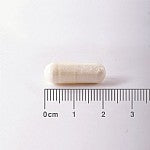 Taurine 500mg